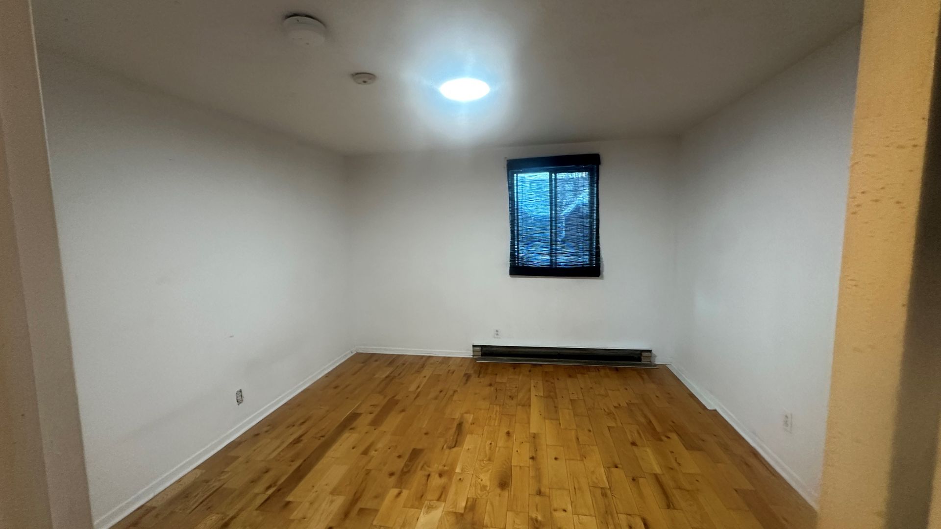 Halfred | Apartment rentals rental: unité with 1 bedrooms, 235 Rue Papineau , Gatineau